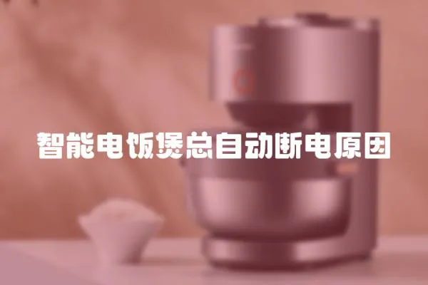 智能電飯煲總自動斷電原因