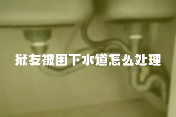 獄友被困下水道怎么處理