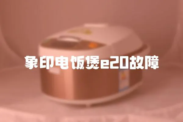象印電飯煲e20故障