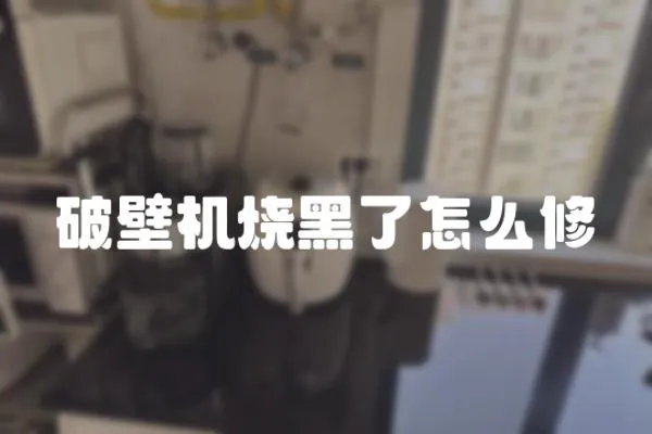 破壁機燒黑了怎么修
