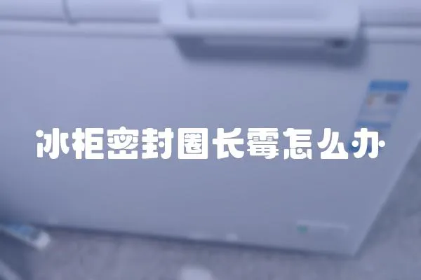 冰柜密封圈長霉怎么辦
