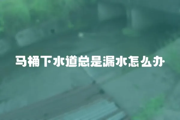 馬桶下水道總是漏水怎么辦