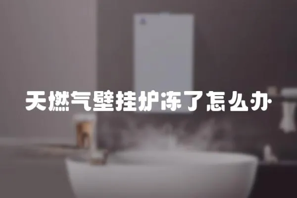 天燃?xì)獗趻鞝t凍了怎么辦