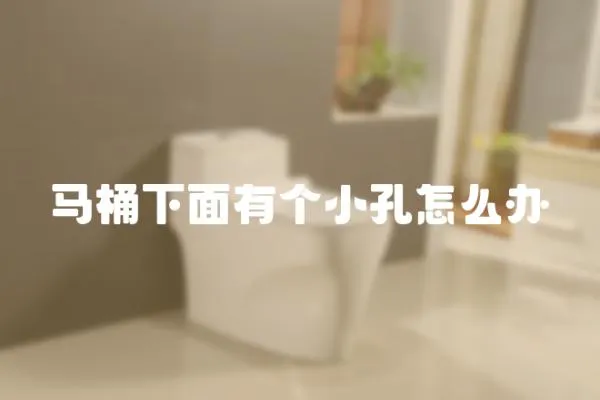 馬桶下面有個小孔怎么辦
