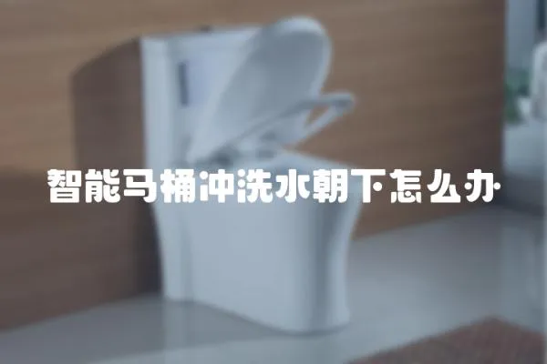 智能馬桶沖洗水朝下怎么辦
