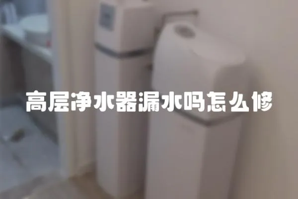 高層凈水器漏水嗎怎么修