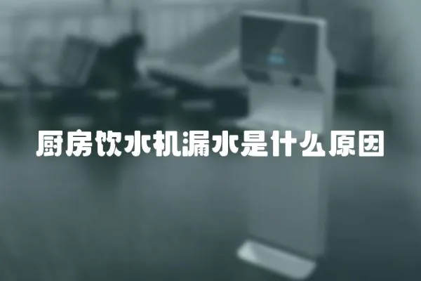 廚房飲水機漏水是什么原因