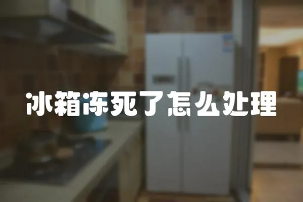 冰箱凍死了怎么處理