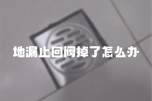 地漏止回閥掉了怎么辦