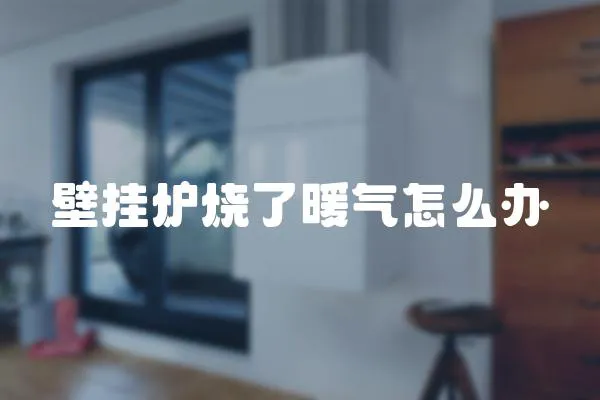 壁掛爐燒了暖氣怎么辦