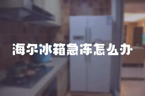 海爾冰箱急凍怎么辦