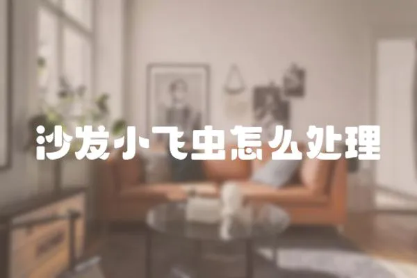 沙發小飛蟲怎么處理