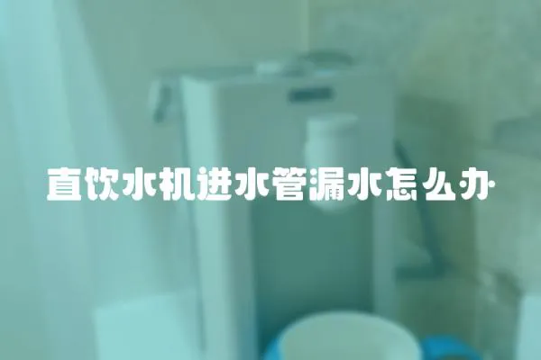 直飲水機進水管漏水怎么辦