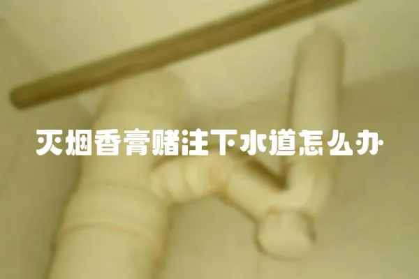 滅煙香膏賭注下水道怎么辦