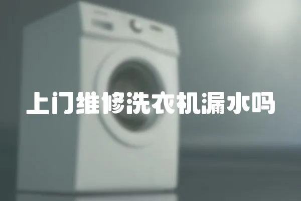 上門維修洗衣機漏水嗎