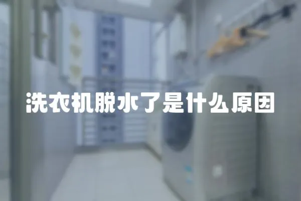 洗衣機脫水了是什么原因