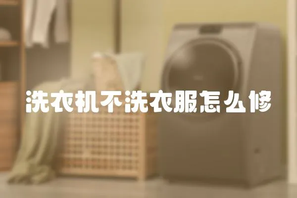 洗衣機不洗衣服怎么修