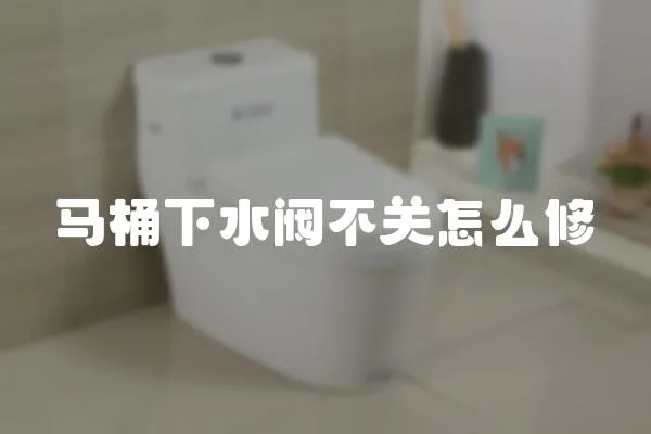 馬桶下水閥不關(guān)怎么修