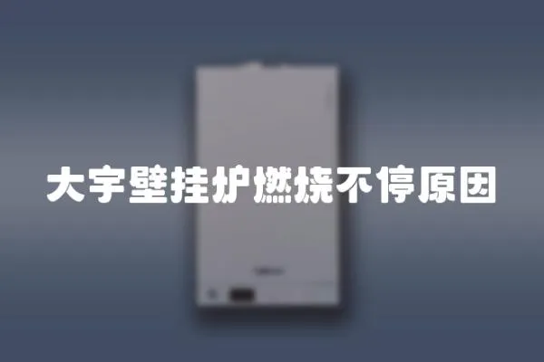 大宇壁掛爐燃燒不停原因