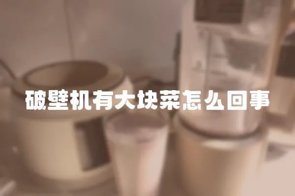 破壁機有大塊菜怎么回事