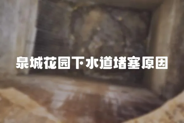 泉城花園下水道堵塞原因