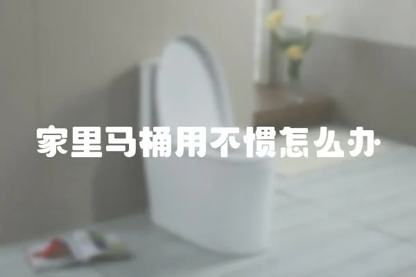 家里馬桶用不慣怎么辦