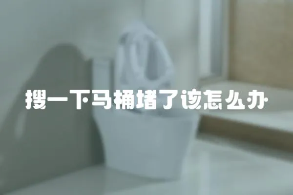 搜一下馬桶堵了該怎么辦