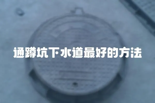 通蹲坑下水道最好的方法