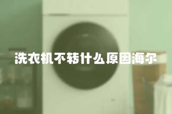 洗衣機(jī)不轉(zhuǎn)什么原因海爾