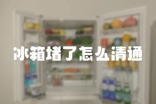 冰箱堵了怎么清通