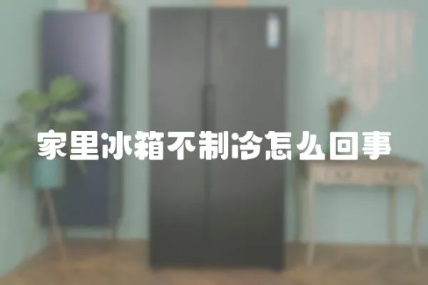 家里冰箱不制冷怎么回事