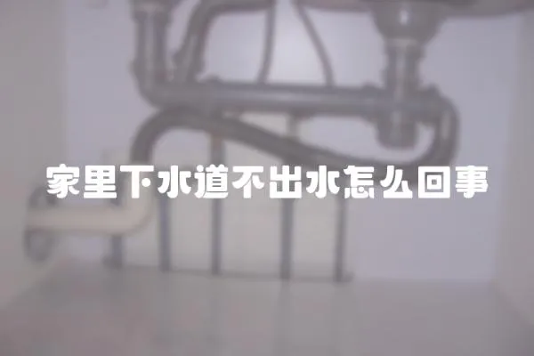 家里下水道不出水怎么回事