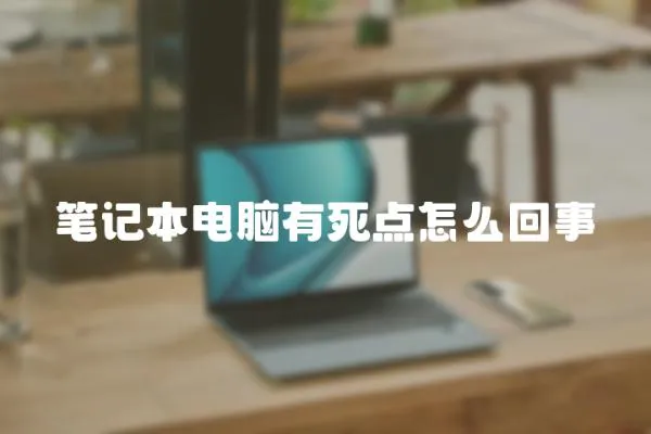 筆記本電腦有死點怎么回事