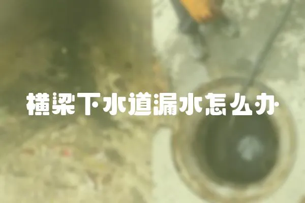 橫梁下水道漏水怎么辦