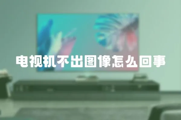 電視機不出圖像怎么回事