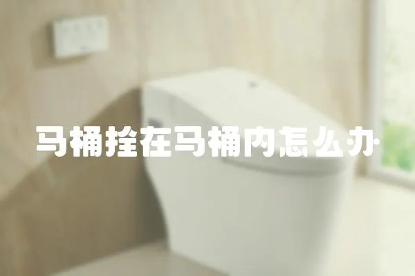 馬桶拴在馬桶內怎么辦