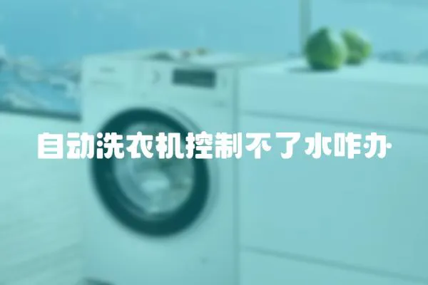 自動洗衣機控制不了水咋辦
