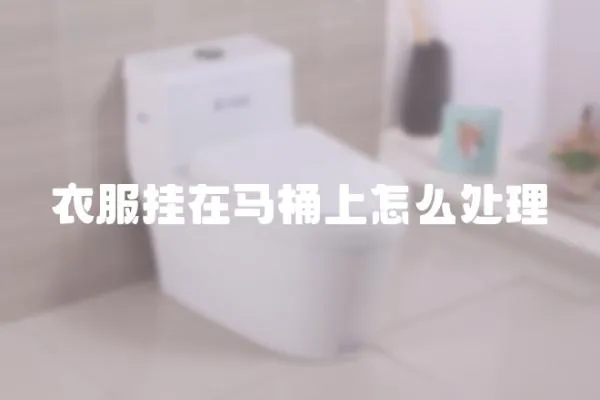 衣服掛在馬桶上怎么處理
