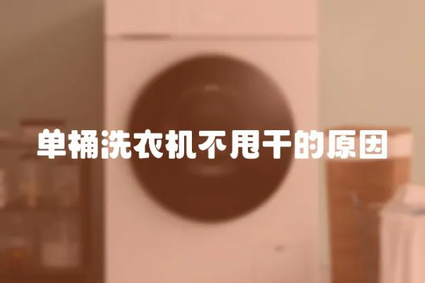 單桶洗衣機不甩干的原因