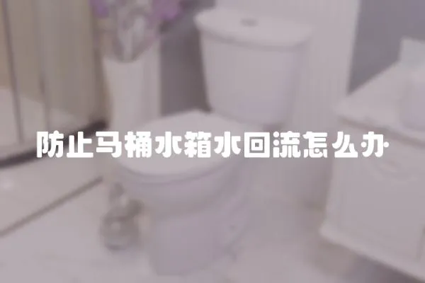 防止馬桶水箱水回流怎么辦
