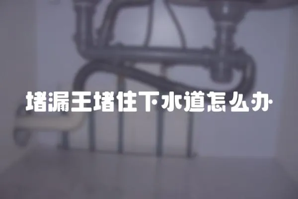 堵漏王堵住下水道怎么辦