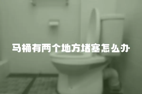馬桶有兩個地方堵塞怎么辦