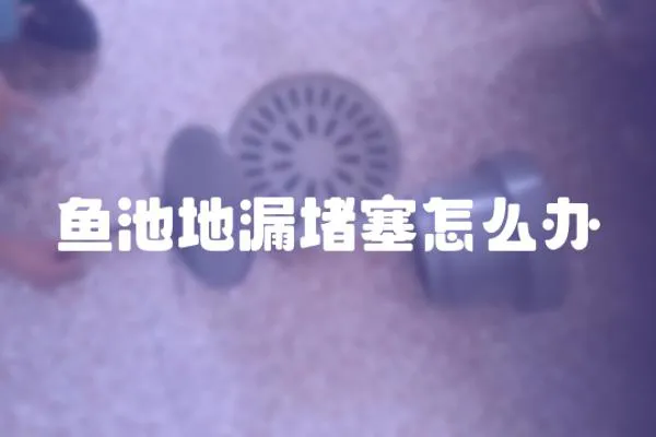 魚池地漏堵塞怎么辦