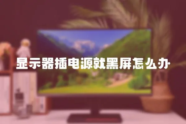 顯示器插電源就黑屏怎么辦
