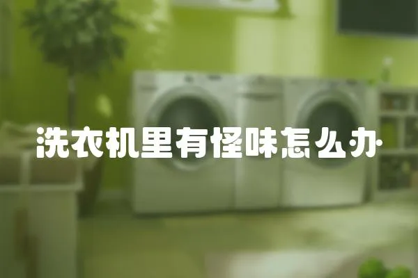 洗衣機(jī)里有怪味怎么辦