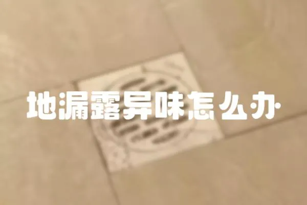 地漏露異味怎么辦