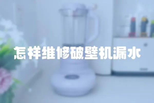 怎樣維修破壁機漏水