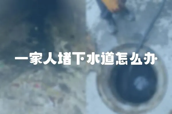 一家人堵下水道怎么辦