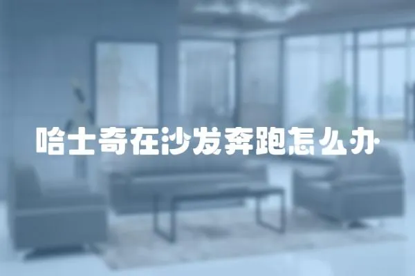 哈士奇在沙發奔跑怎么辦