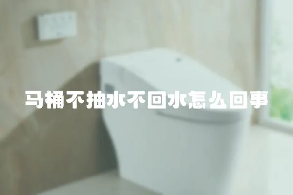馬桶不抽水不回水怎么回事